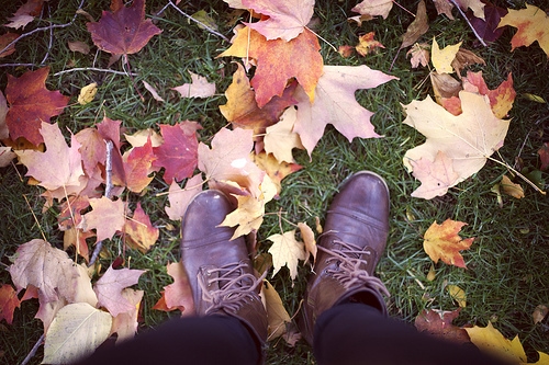 Botas de otoño